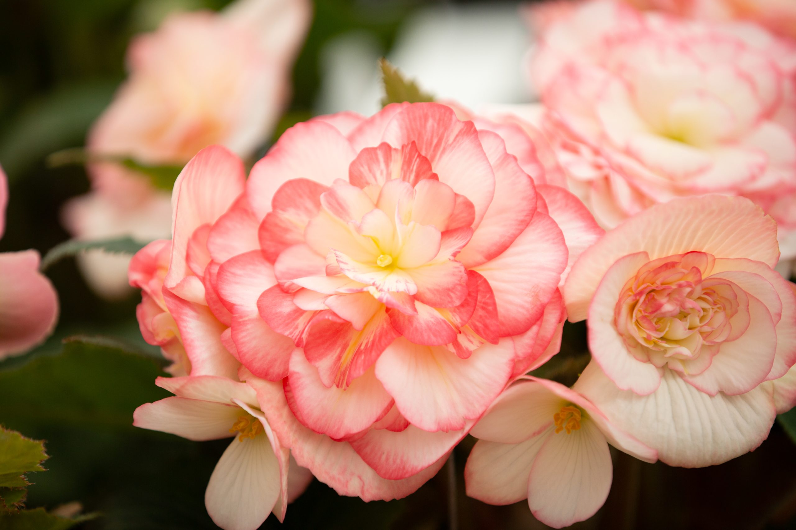 Sustainability image