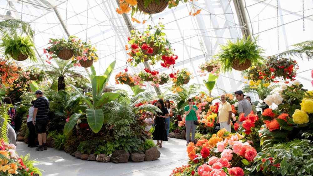 Ballarat Begonia Festival Social Story image