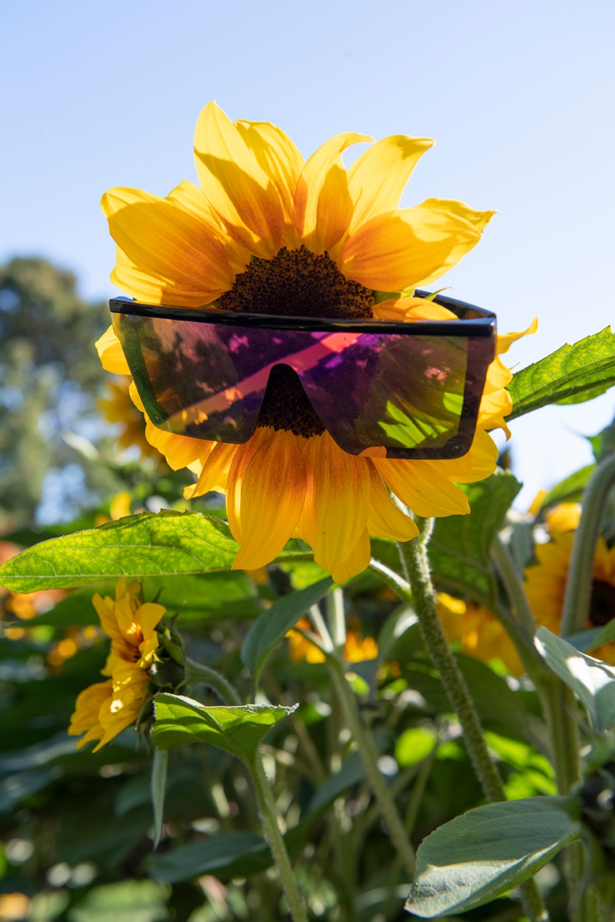 Floral Community Garden Displays image